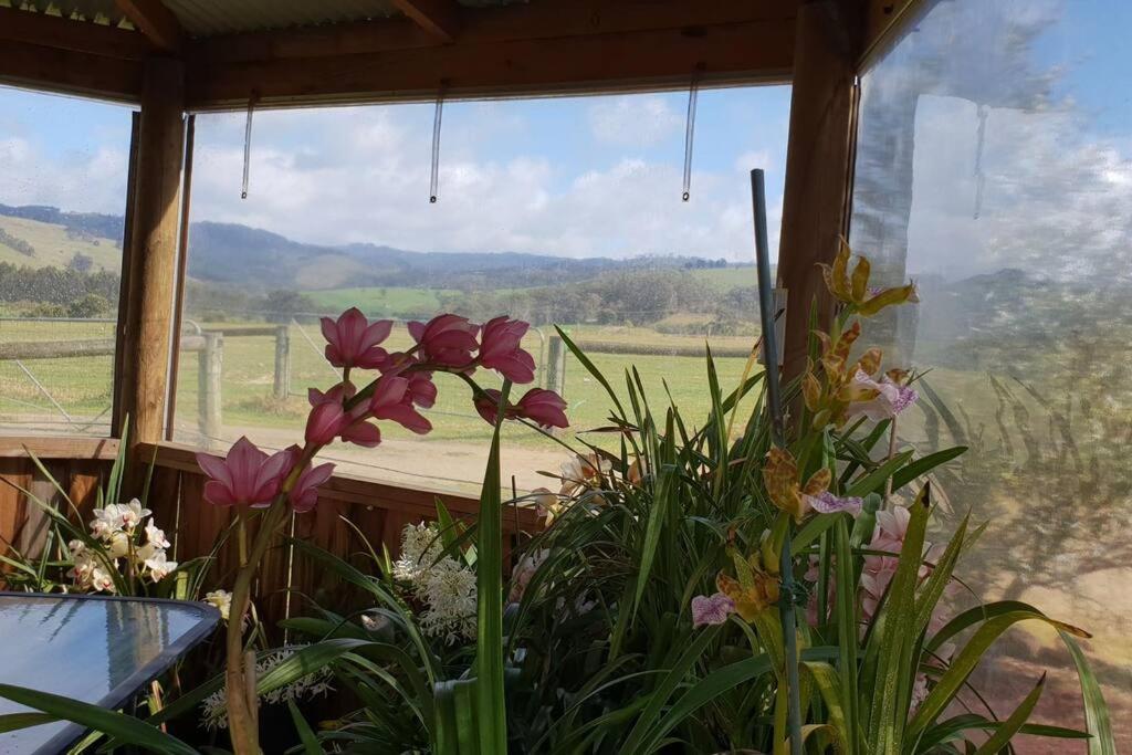 Handsome Hills Dairy Retreat Won Wron Экстерьер фото